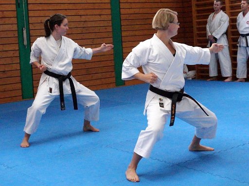 DSC03610 (Large).JPG